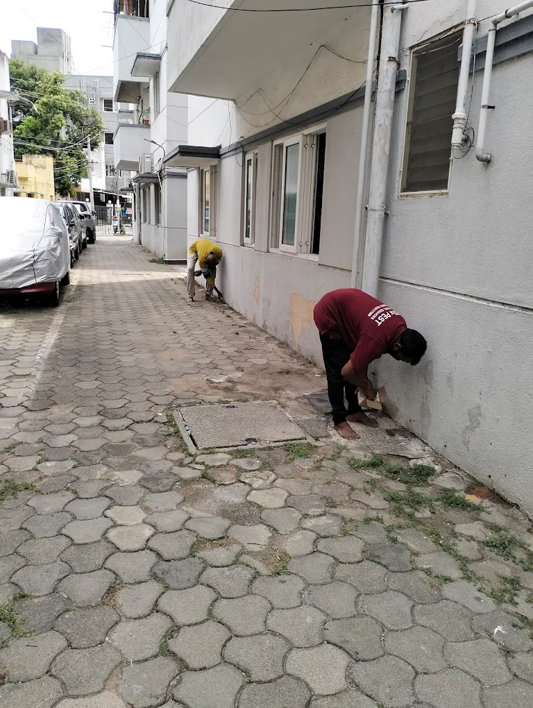 Residential Pest Control